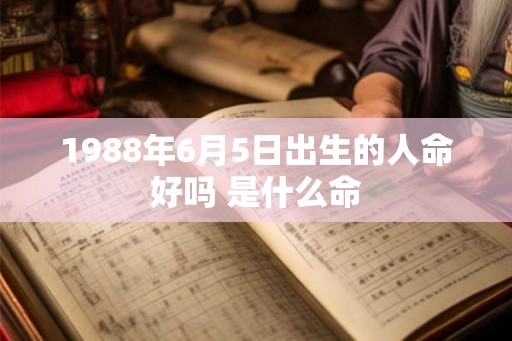 1988年6月5日出生的人命好吗 是什么命