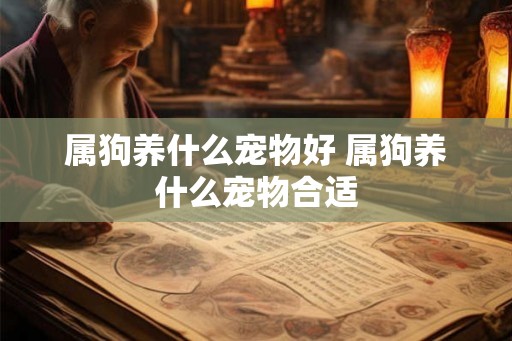 属狗养什么宠物好 属狗养什么宠物合适