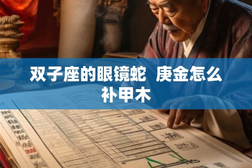 双子座的眼镜蛇  庚金怎么补甲木