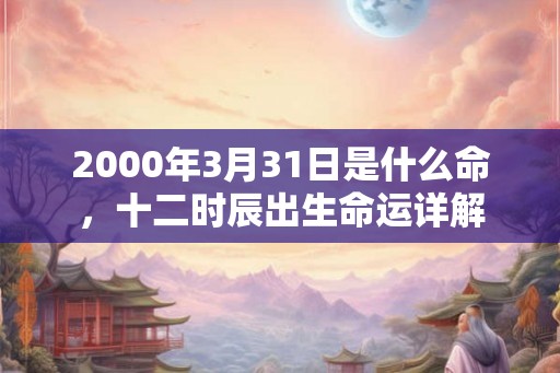 2000年3月31日是什么命，十二时辰出生命运详解