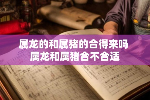 属龙的和属猪的合得来吗 属龙和属猪合不合适