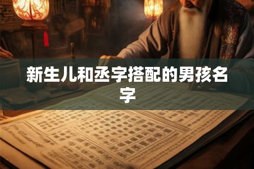 新生儿和丞字搭配的男孩名字