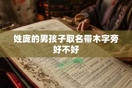 姓庞的男孩子取名带木字旁好不好