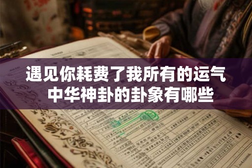 遇见你耗费了我所有的运气  中华神卦的卦象有哪些