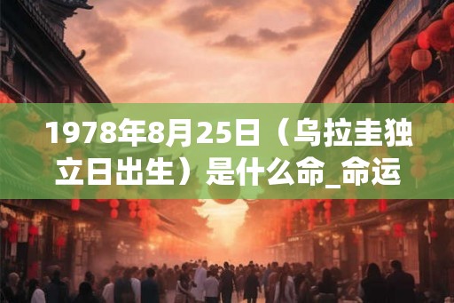 1978年8月25日（乌拉圭独立日出生）是什么命_命运如何