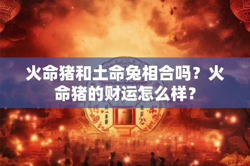火命猪和土命兔相合吗？火命猪的财运怎么样？