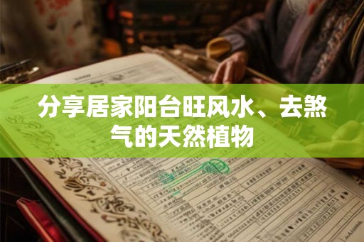 分享居家阳台旺风水、去煞气的天然植物