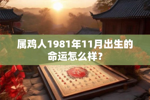 属鸡人1981年11月出生的命运怎么样？