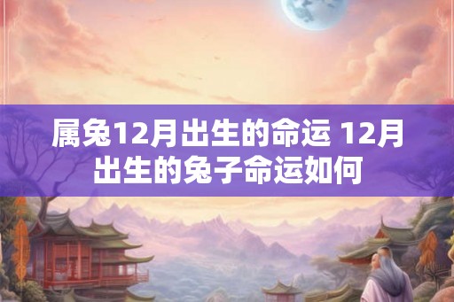 属兔12月出生的命运 12月出生的兔子命运如何