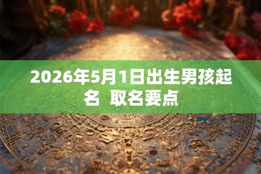 2026年5月1日出生男孩起名  取名要点