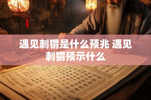 遇见刺猬是什么预兆 遇见刺猬预示什么 遇见刺猬是什么预兆 遇见刺猬预示什么