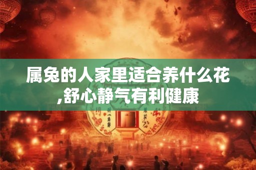 属兔的人家里适合养什么花,舒心静气有利健康