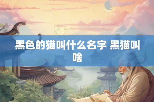 黑色的猫叫什么名字 黑猫叫啥