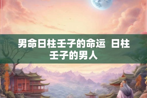 男命日柱壬子的命运  日柱壬子的男人