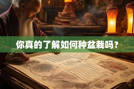 你真的了解如何种盆栽吗？