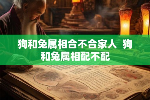 狗和兔属相合不合家人 狗和兔属相配不配 狗和兔属相合不合家人 狗和兔属相配不配
