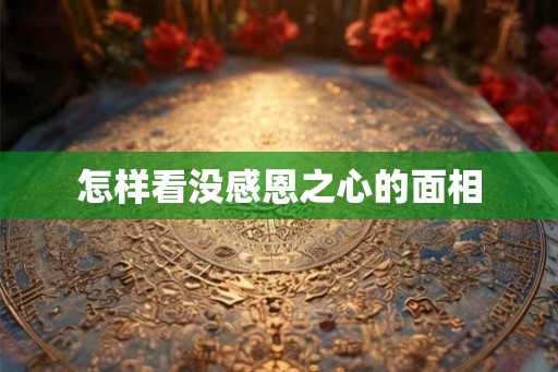 怎样看没感恩之心的面相