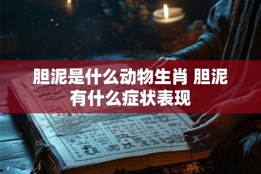 胆泥是什么动物生肖 胆泥有什么症状表现