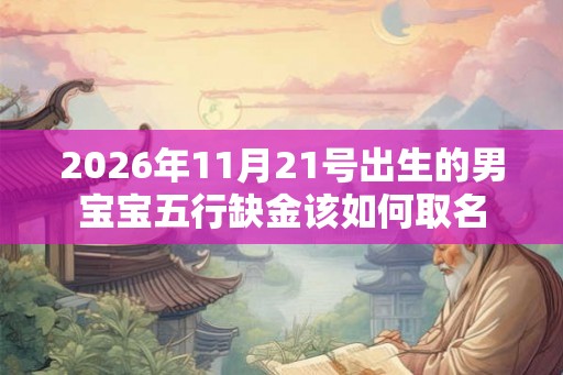 2026年11月21号出生的男宝宝五行缺金该如何取名