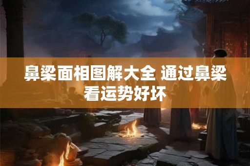 鼻梁面相图解大全 通过鼻梁看运势好坏 鼻梁面相图解大全 通过鼻梁看运势好坏