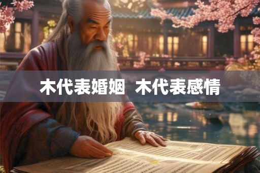 木代表婚姻  木代表感情