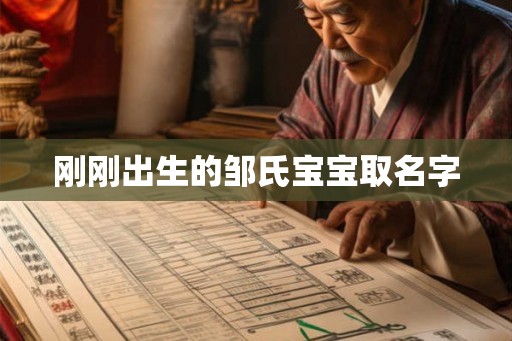 刚刚出生的邹氏宝宝取名字