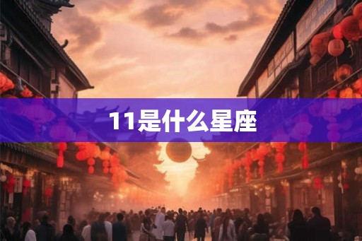 11是什么星座