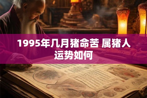 1995年几月猪命苦 属猪人运势如何 1995年几月猪命苦 属猪人运势如何