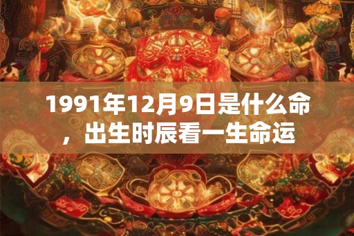 1991年12月9日是什么命，出生时辰看一生命运