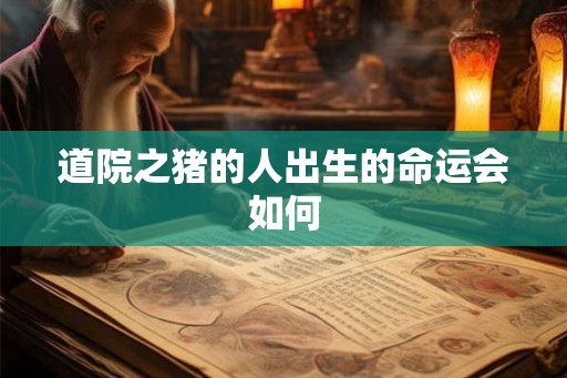 道院之猪的人出生的命运会如何