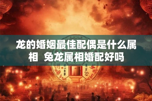 龙的婚姻最佳配偶是什么属相  兔龙属相婚配好吗