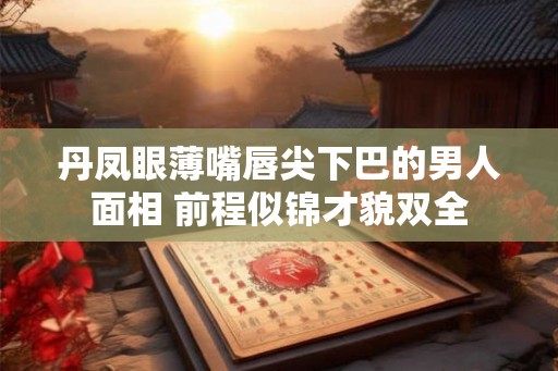 丹凤眼薄嘴唇尖下巴的男人面相 前程似锦才貌双全