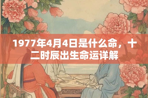 1977年4月4日是什么命，十二时辰出生命运详解