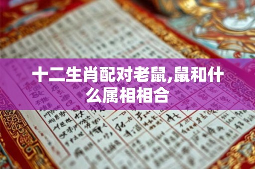 十二生肖配对老鼠,鼠和什么属相相合