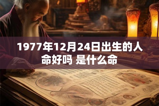 1977年12月24日出生的人命好吗 是什么命