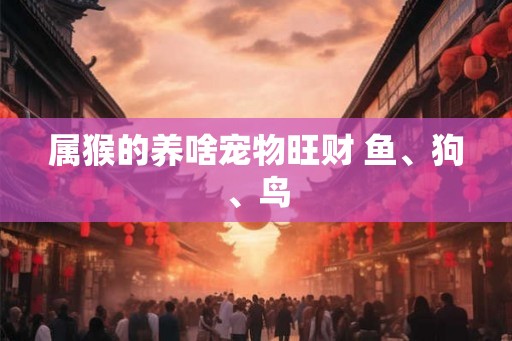 属猴的养啥宠物旺财 鱼、狗、鸟