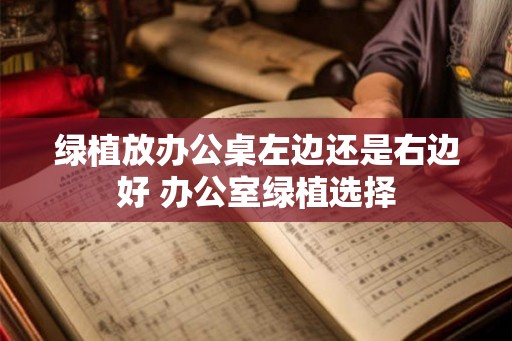 绿植放办公桌左边还是右边好 办公室绿植选择