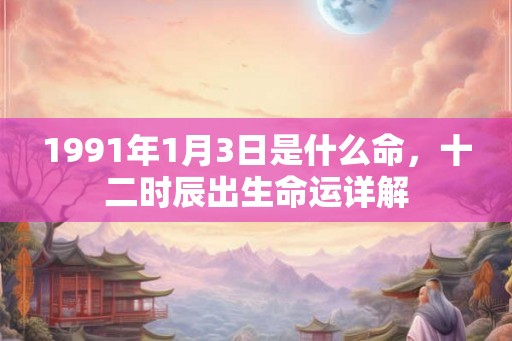 1991年1月3日是什么命，十二时辰出生命运详解