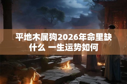 平地木属狗2026年命里缺什么 一生运势如何