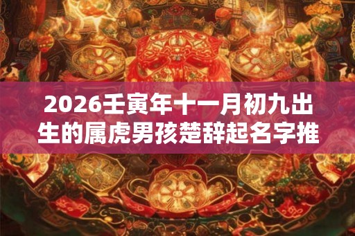 2026壬寅年十一月初九出生的属虎男孩楚辞起名字推荐