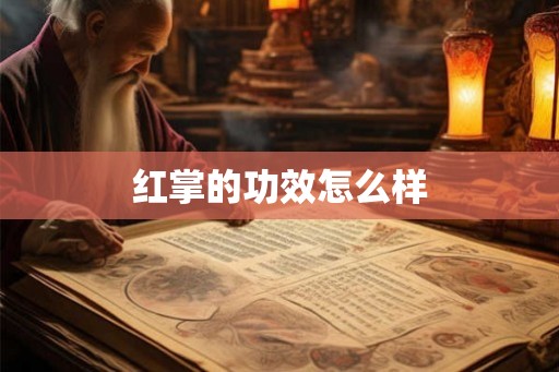 红掌的功效怎么样