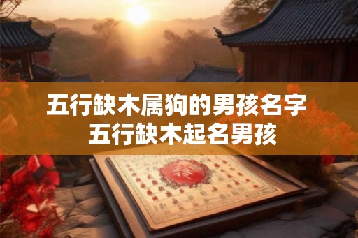 五行缺木属狗的男孩名字  五行缺木起名男孩
