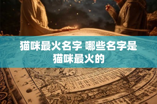 猫咪最火名字 哪些名字是猫咪最火的