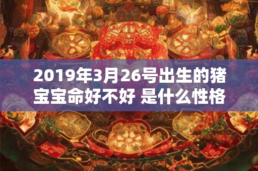2019年3月26号出生的猪宝宝命好不好 是什么性格