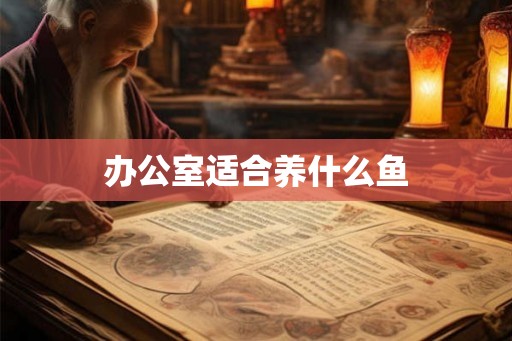 办公室适合养什么鱼