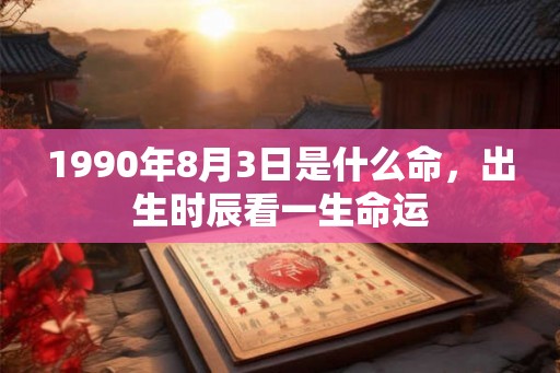 1990年8月3日是什么命，出生时辰看一生命运
