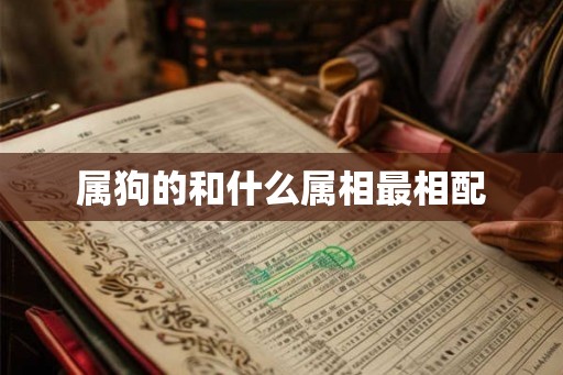 属狗的和什么属相最相配 属狗的和什么属相最相配