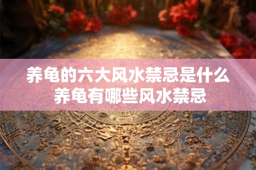 养龟的六大风水禁忌是什么 养龟有哪些风水禁忌 养龟的六大风水禁忌是什么 养龟有哪些风水禁忌