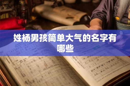 姓杨男孩简单大气的名字有哪些 姓杨男孩简单大气的名字有哪些