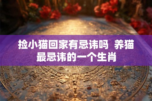 捡小猫回家有忌讳吗  养猫最忌讳的一个生肖
